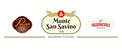Monte san savino-1